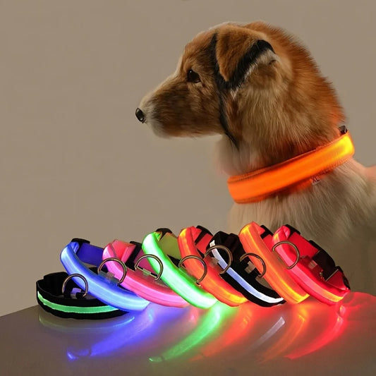Illuminate Your Dog's Walks with the Nylon LED Night Safety Flashing Glow in the Dark Leash and Collar