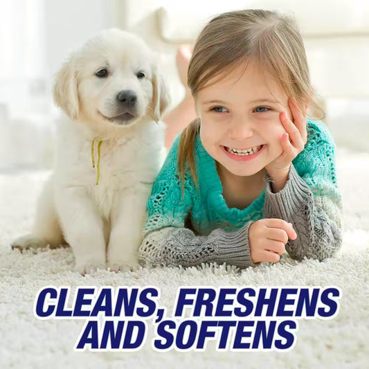 22 Oz. High Traffic Foam Carpet Cleaner (6-Pack)