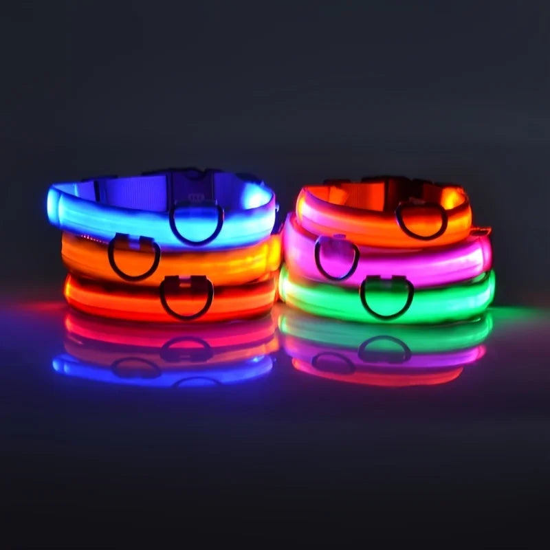 Illuminate Your Dog's Walks with the Nylon LED Night Safety Flashing Glow in the Dark Leash and Collar