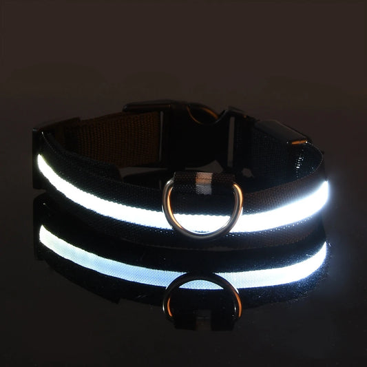 Illuminate Your Dog's Walks with the Nylon LED Night Safety Flashing Glow in the Dark Leash and Collar