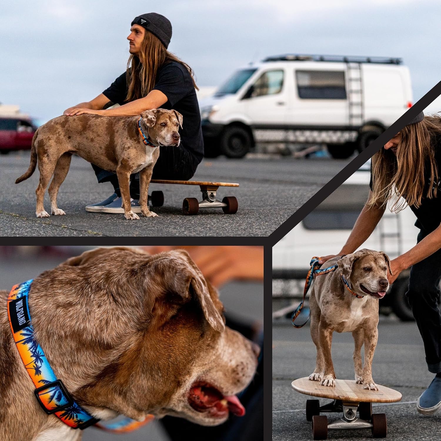 Wolfgang Heavy Duty, Adjustable Dog Collar with Quick Release Nylon Buckle for Walking & Training, Sunsetpalms Print, Medium