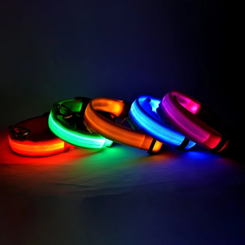 Illuminate Your Dog's Walks with the Nylon LED Night Safety Flashing Glow in the Dark Leash and Collar