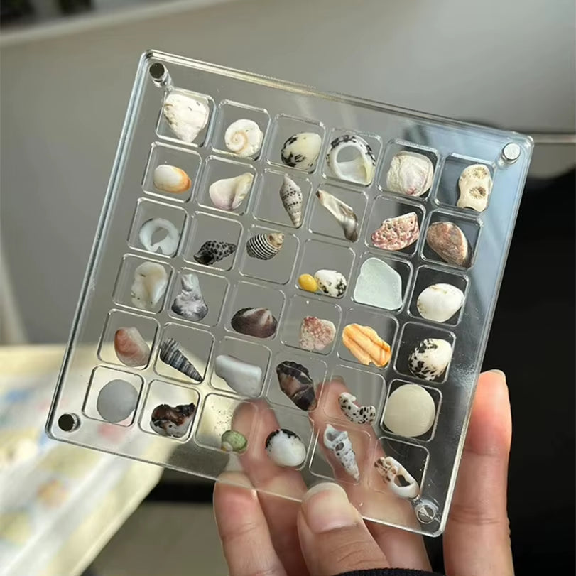 Acrylic Magnetic Seashell Display Box, Small Seashell Display Case, Magnetic Acrylic Shell Storage Box, Small Craft Organizers C