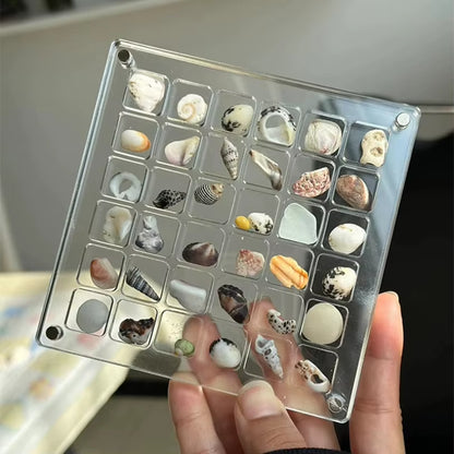 Acrylic Magnetic Seashell Display Box, Small Seashell Display Case, Magnetic Acrylic Shell Storage Box, Small Craft Organizers C
