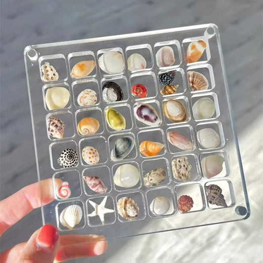 Acrylic Magnetic Seashell Display Box, Small Seashell Display Case, Magnetic Acrylic Shell Storage Box, Small Craft Organizers C