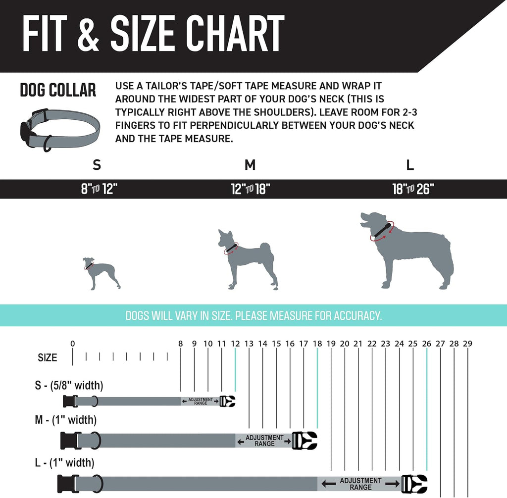 Wolfgang Heavy Duty, Adjustable Dog Collar with Quick Release Nylon Buckle for Walking & Training, Sunsetpalms Print, Medium