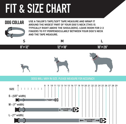 Wolfgang Heavy Duty, Adjustable Dog Collar with Quick Release Nylon Buckle for Walking & Training, Sunsetpalms Print, Medium