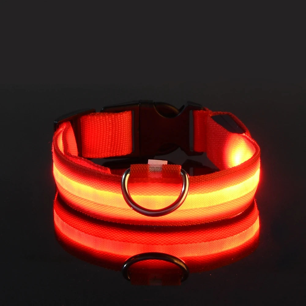Illuminate Your Dog's Walks with the Nylon LED Night Safety Flashing Glow in the Dark Leash and Collar