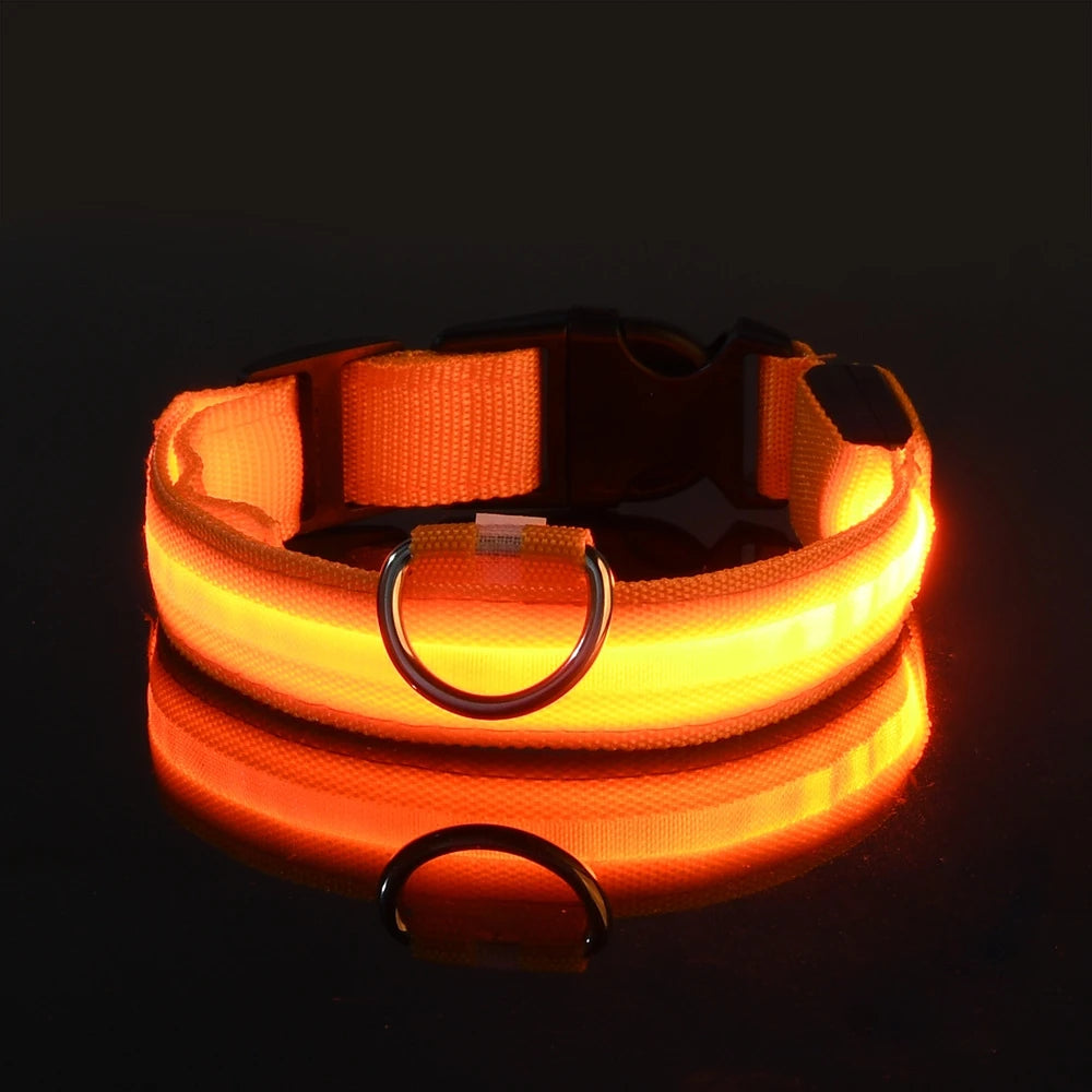 Illuminate Your Dog's Walks with the Nylon LED Night Safety Flashing Glow in the Dark Leash and Collar