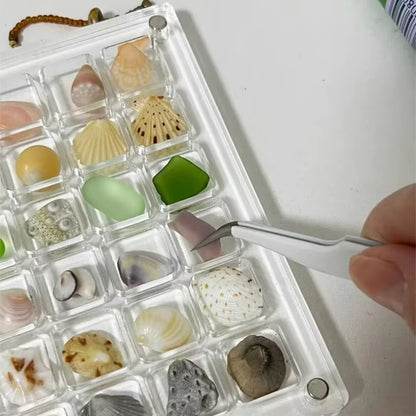 Acrylic Magnetic Seashell Display Box, Small Seashell Display Case, Magnetic Acrylic Shell Storage Box, Small Craft Organizers C