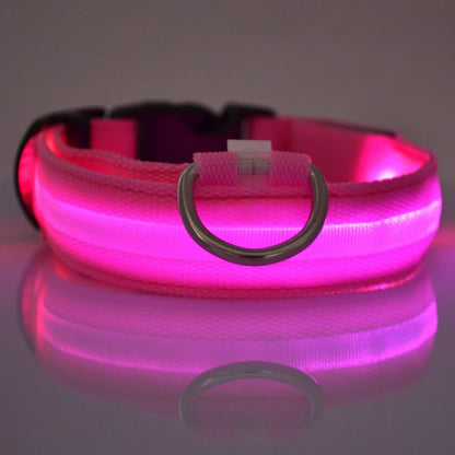 Illuminate Your Dog's Walks with the Nylon LED Night Safety Flashing Glow in the Dark Leash and Collar