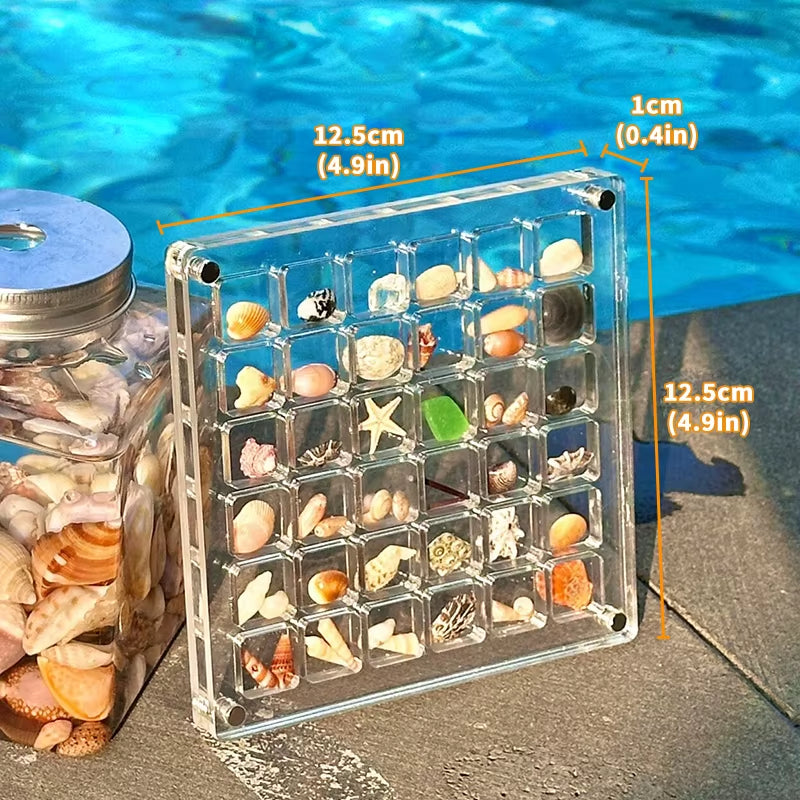Acrylic Magnetic Seashell Display Box, Small Seashell Display Case, Magnetic Acrylic Shell Storage Box, Small Craft Organizers C