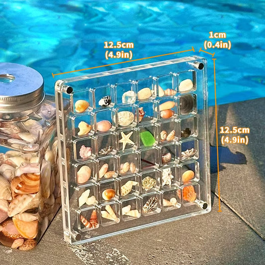 Acrylic Magnetic Seashell Display Box, Small Seashell Display Case, Magnetic Acrylic Shell Storage Box, Small Craft Organizers C