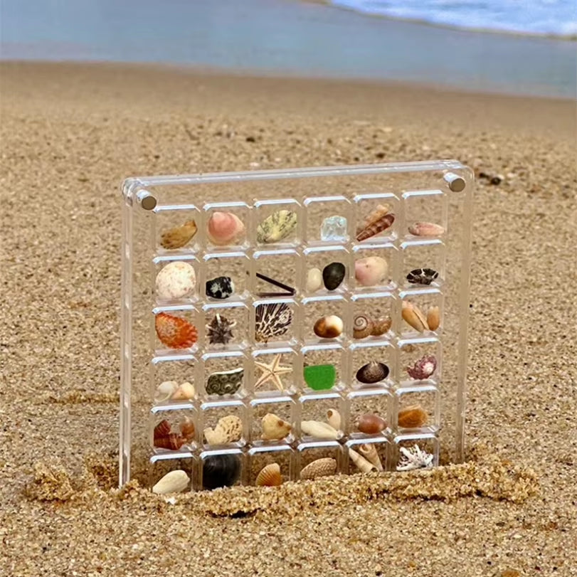 Acrylic Magnetic Seashell Display Box, Small Seashell Display Case, Magnetic Acrylic Shell Storage Box, Small Craft Organizers C