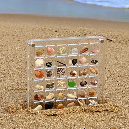 Acrylic Magnetic Seashell Display Box, Small Seashell Display Case, Magnetic Acrylic Shell Storage Box, Small Craft Organizers C
