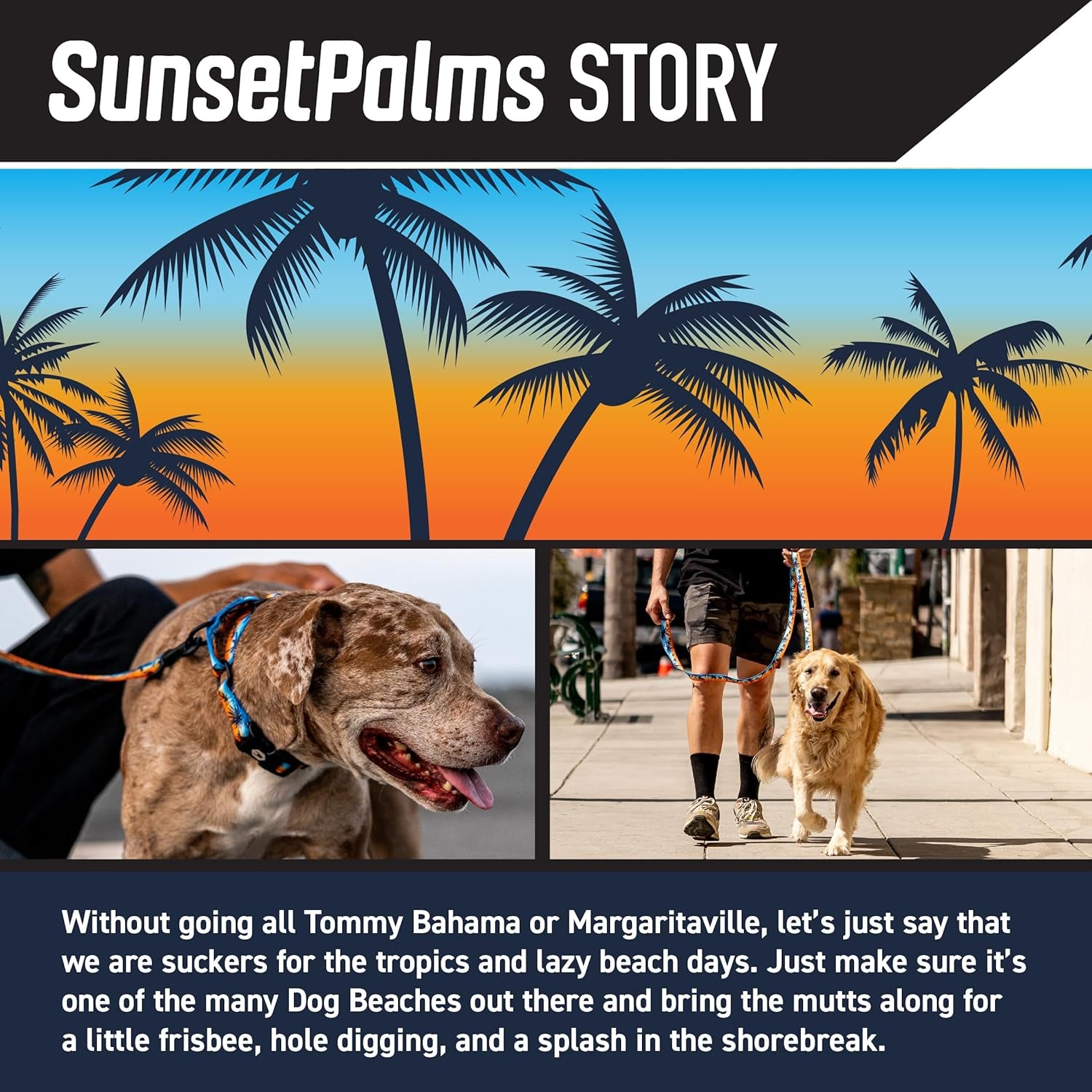 Wolfgang Heavy Duty, Adjustable Dog Collar with Quick Release Nylon Buckle for Walking & Training, Sunsetpalms Print, Medium