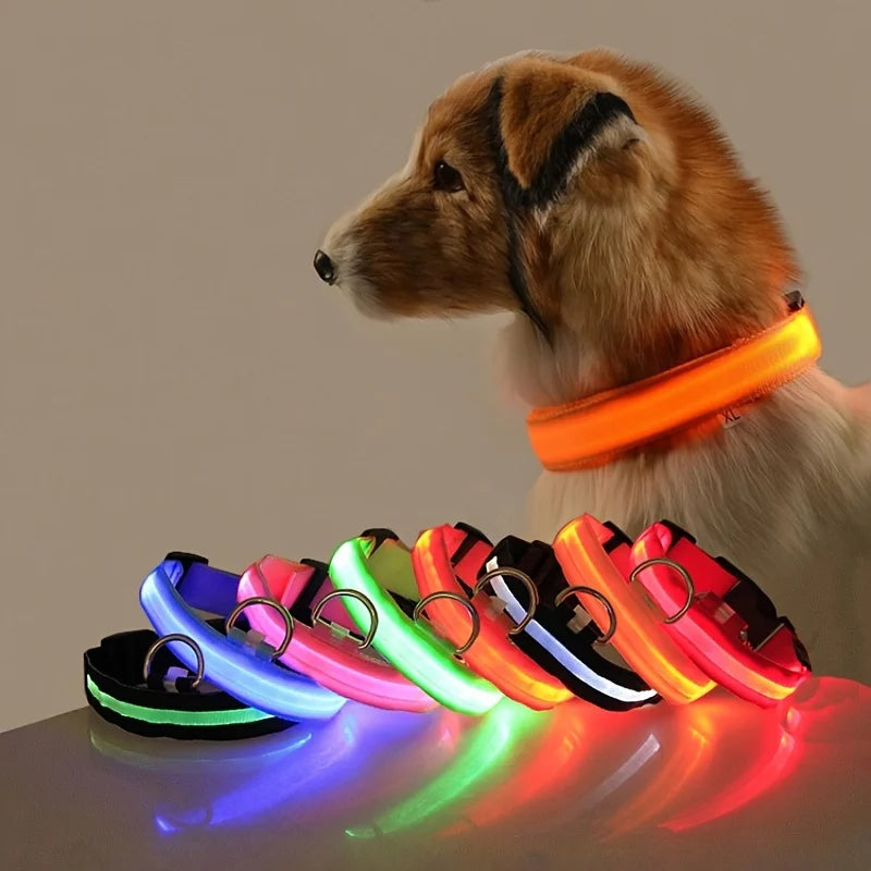 Illuminate Your Dog's Walks with the Nylon LED Night Safety Flashing Glow in the Dark Leash and Collar