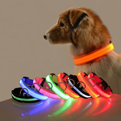 Illuminate Your Dog's Walks with the Nylon LED Night Safety Flashing Glow in the Dark Leash and Collar