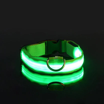Illuminate Your Dog's Walks with the Nylon LED Night Safety Flashing Glow in the Dark Leash and Collar