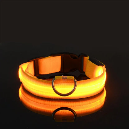 Illuminate Your Dog's Walks with the Nylon LED Night Safety Flashing Glow in the Dark Leash and Collar